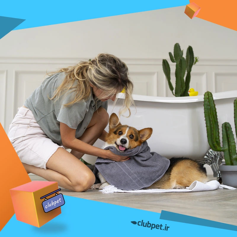 حمام کردن سگ +12 نکته مهم آموزش شستن سگ