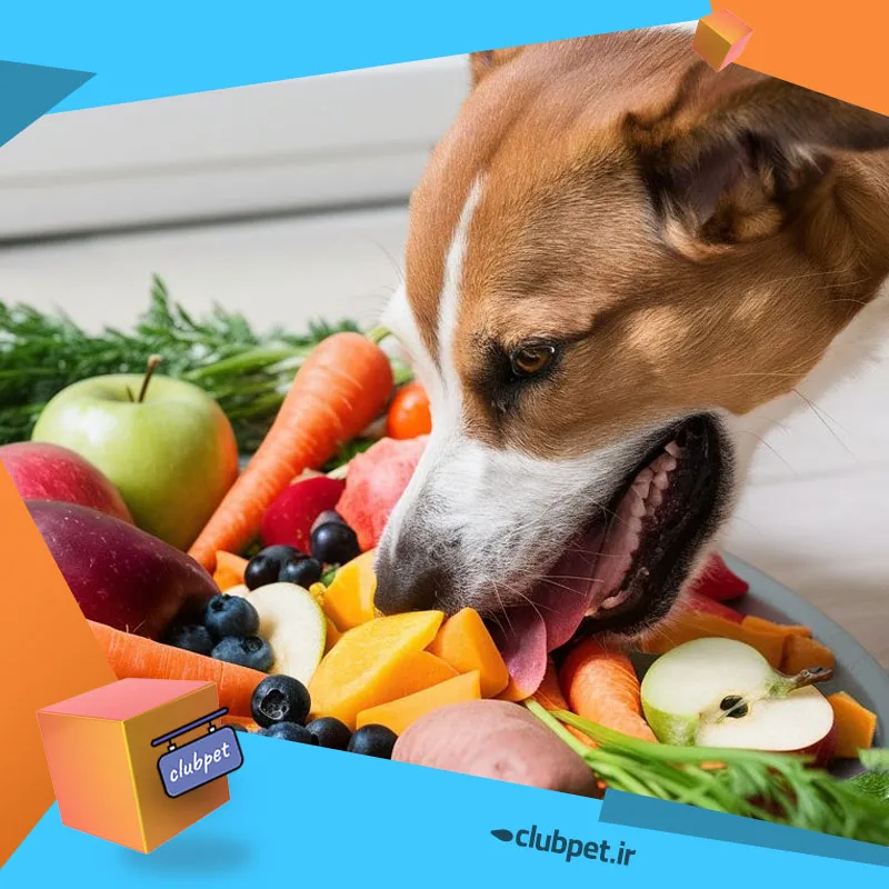 چه غذایی در فصل سرما برای سگ مناسب است
